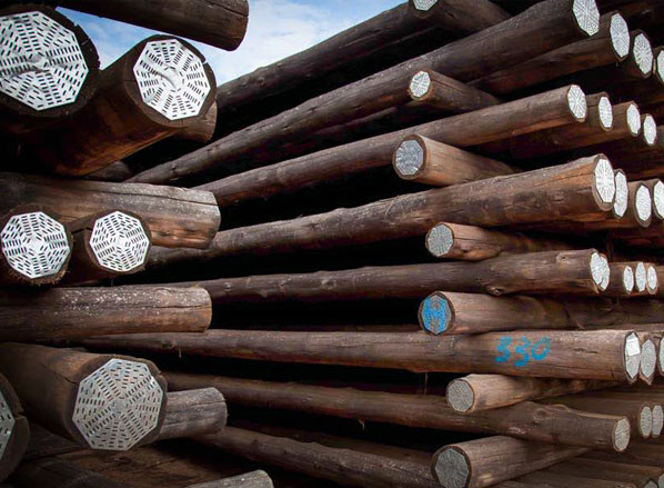 TREATED WOODEN POWER TRANSMISSION POLES